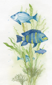 Украинская народная сказка "ПРО БІДНОГО ПАРУБКА І ЦАРІВНУ"