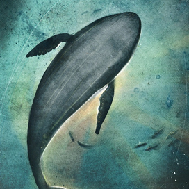 Project "Whalien 52 Hz"