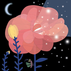 Ночные цветы