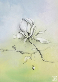 Цвет магнолии