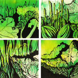 микрокосмос