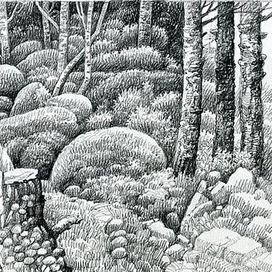 в лес по грибы