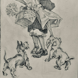 покупки