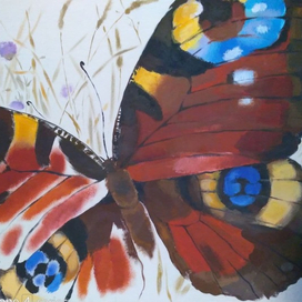 павлиний глаз