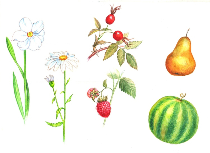 Для учебника