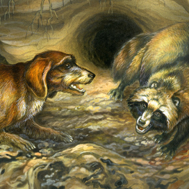 Жесткошерстная такса. По енотовидной собаке..