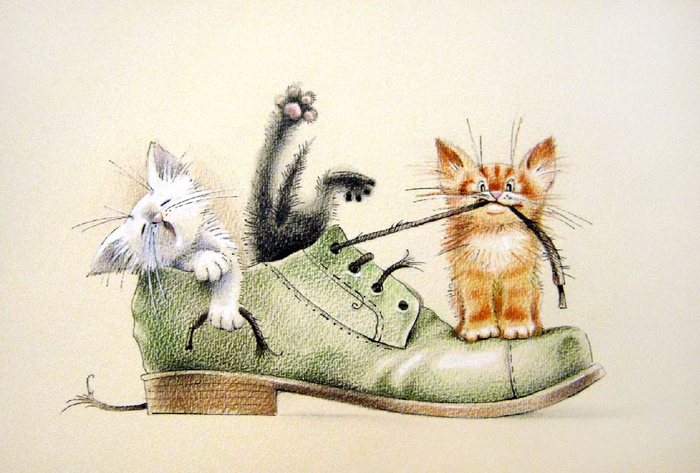 Были у хозяина любимые ботинки...