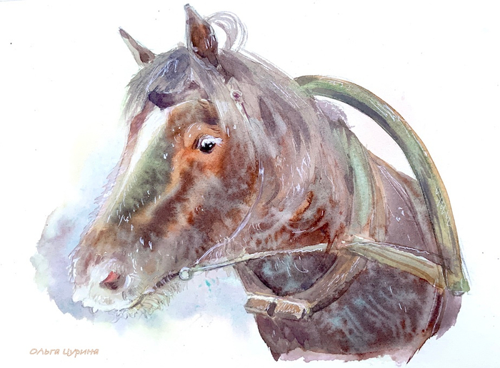 «Иней» Юрий Коваль, АСТ, 2025