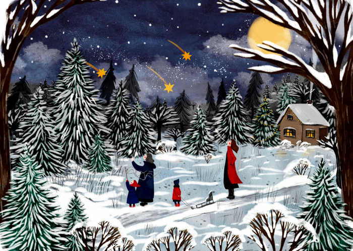 Однажды зимнем вечером