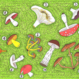 для детского журнала, грибы, викторина