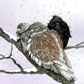 Зимние воробушки