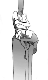 единение при условии сохранения собственной целостности