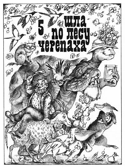 Черепаха & Co