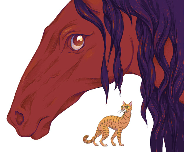 Кот и дикий конь