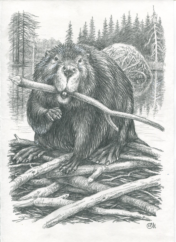 ...на том пруду куда тебя я приведу.