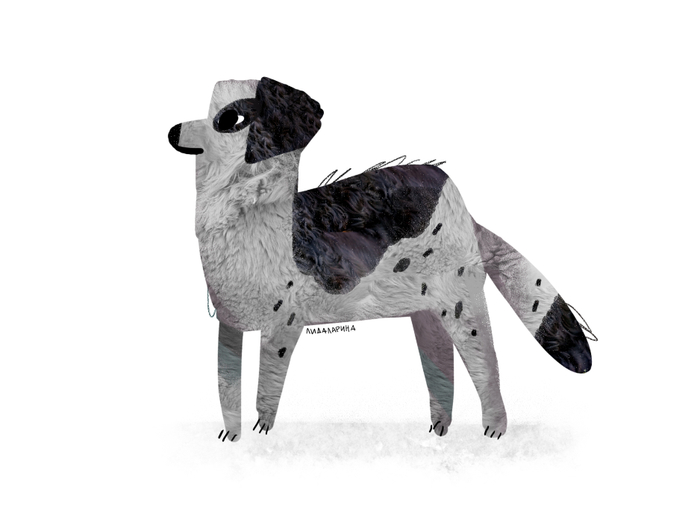 дворняжка 1