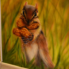 Бурундук в дверном проёме