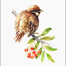 Воробейкин