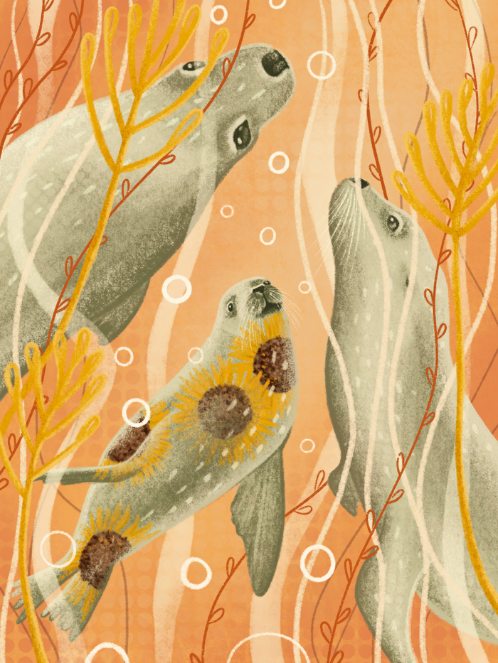 Цветочные тюлени