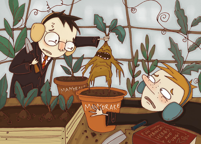 Иллюстрация к книге Джоан Роулинг "Гарри Поттер и Тайная комната"