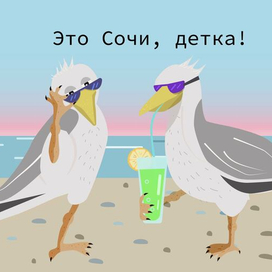 Гламурные чайки