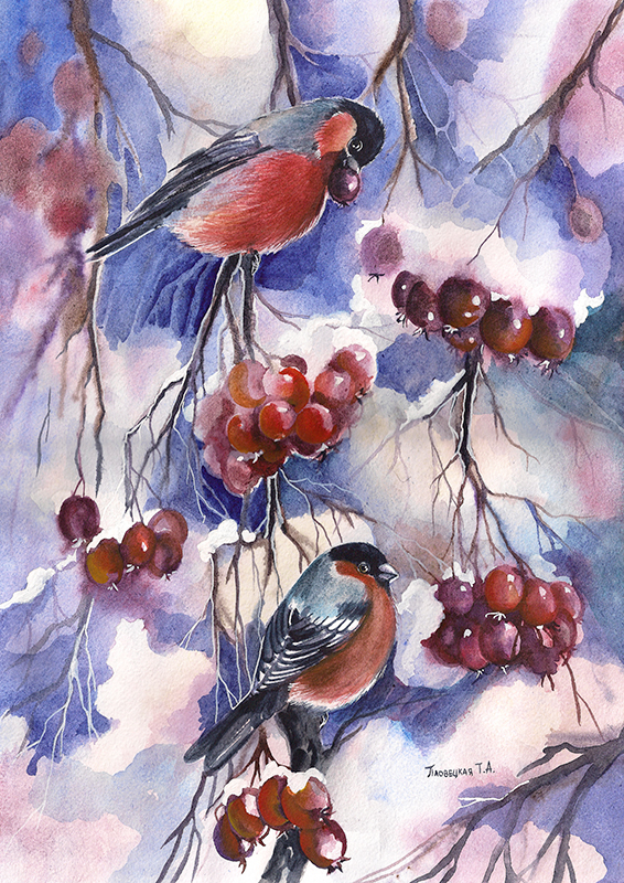 Снегири на боярышнике