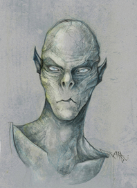 Портрет персонажа