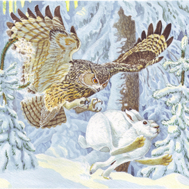 Хоть шкура и не плохая - всё равно, "линяет" косой.