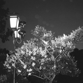 Чёрно-белое. Июнь 18