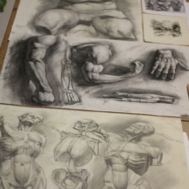 Руки, экорше