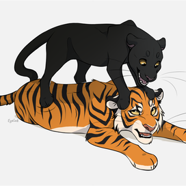 Тигр и пантера