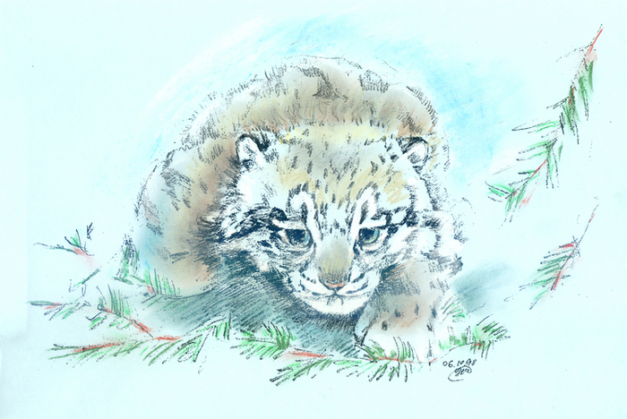 День снежного барса. Барсятки