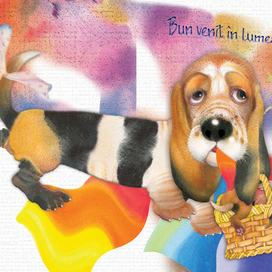 Бассет-хаунд