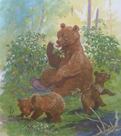 Медведица