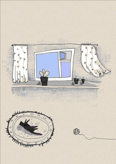 (без названия)