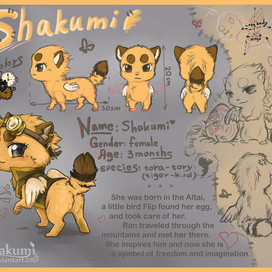 Шакуми рефка