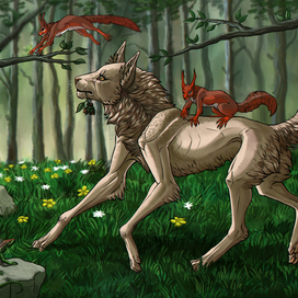 В погоне за орешками