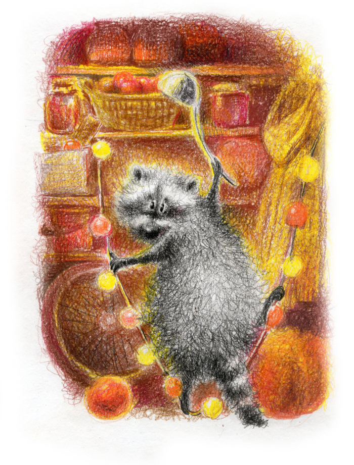 Енот воришка