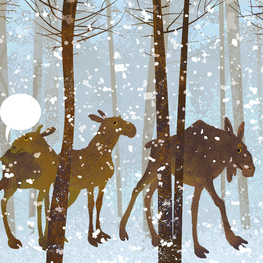 сквозь снег