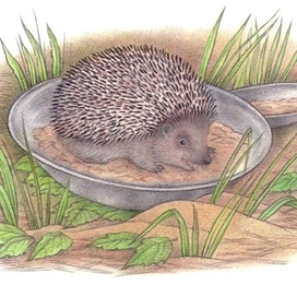 Вкуснятина!