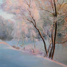 Зимнее утро в старом парке