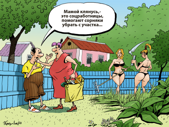 Помощницы на дачном участке.