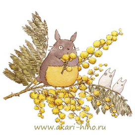 Желтые желтушки или Тоторо и мимоза