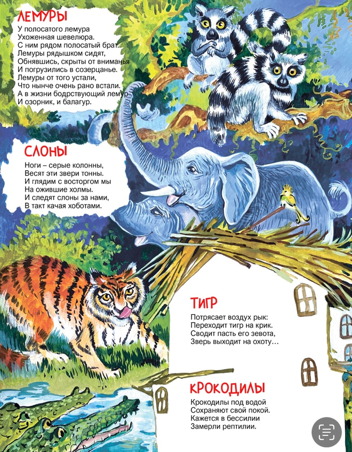 Лемуры, слоны, тигр, крокодилы. «Наш Миша»