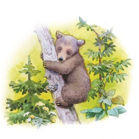 ''...смешной такой,мохнатый''.