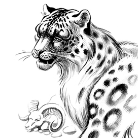 Он знал, что поздно. 