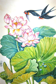 ласточки и  лотосы