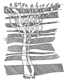 (без названия)