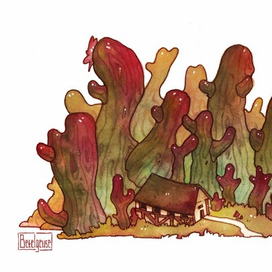 Кактусовый лес