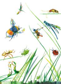 Насекомые для сказки